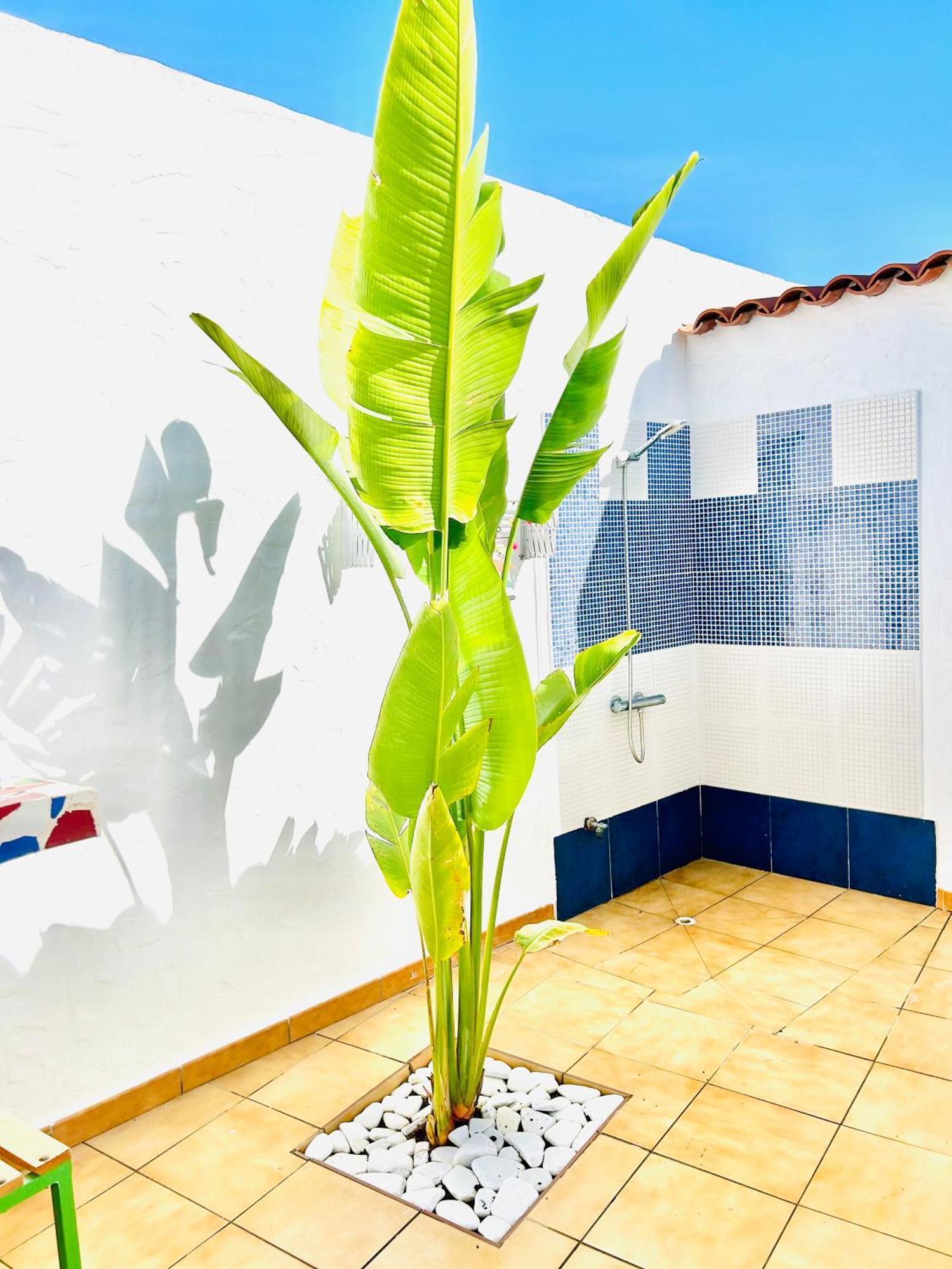 Oasis Beach Holiday Home With Jacuzzi Playa del Inglés Exterior foto